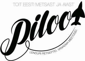 AP PILOOT OÜ