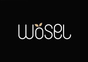 ÖSELWISE OÜ